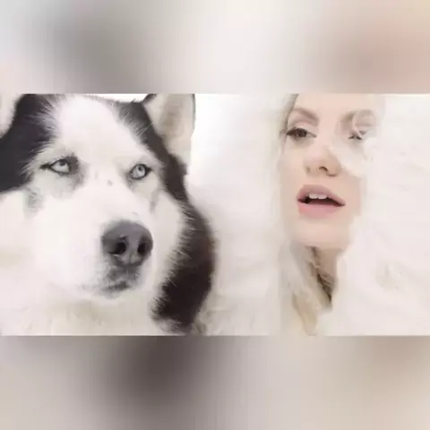 star sessions alexandra | Discover