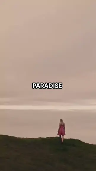 paradisebirds casey | Discover