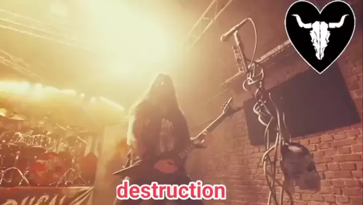 daiseys destruction | Discover