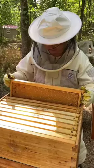 honeybeepott honeyybeebby | Discover