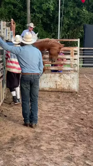 Bareback gay video